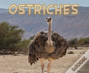 Capa do artigo Ostriches