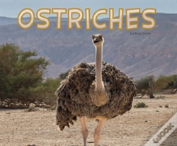 Capa do artigo Ostriches