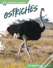 Ostriches
