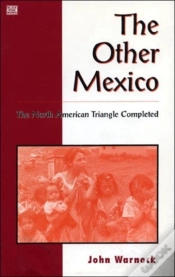 Capa do artigo Other Mexico
