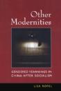 Other Modernities - Preview