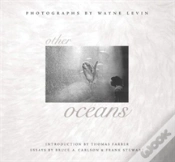 Capa do artigo Other Oceans