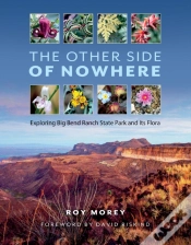 Capa do artigo Other Side Of Nowhere