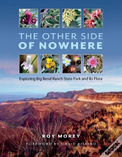 Capa do artigo Other Side Of Nowhere
