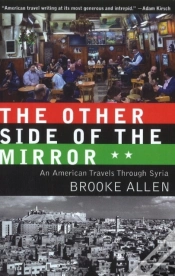 Capa do artigo Other Side Of The Mirror