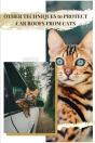 Other Techniques TãÂ¾ Protect Car Roofs From Cats - Preview