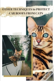 Capa do artigo Other Techniques TãÂ¾ Protect Car Roofs From Cats
