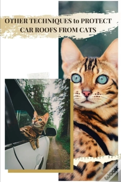 Capa do artigo Other Techniques TãÂ¾ Protect Car Roofs From Cats
