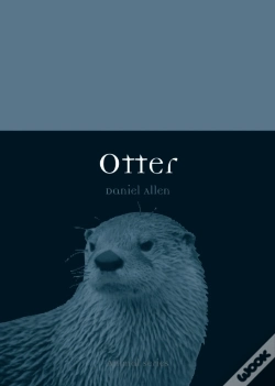 Capa do artigo Otter