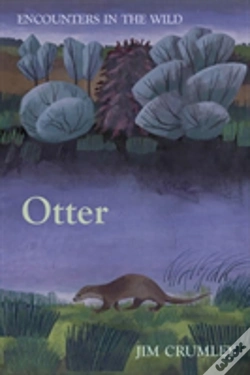 Capa do artigo Otter