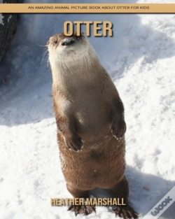 Capa do artigo Otter