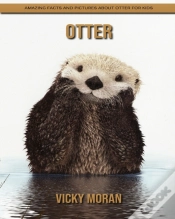 Capa do artigo Otter