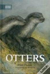 Capa do artigo Otters