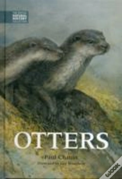 Capa do artigo Otters