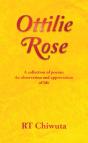 Ottilie           Rose - Preview