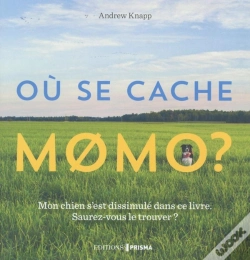 Capa do artigo Ou Se Cache Momo ?
