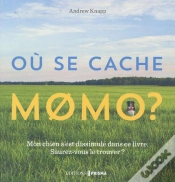 Capa do artigo Ou Se Cache Momo ?