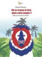 Ou Se Trouve Le Lion Dans Cette Jungle ? - Preview