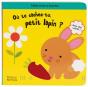 Ou Te Caches Tu Petit Lapin ? - Preview