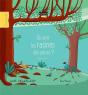 Ou Vont Les Racines Des Arbres ? - Preview
