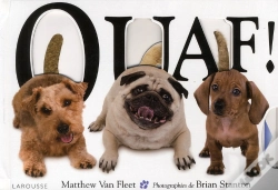 Capa do artigo Ouaf !
