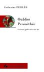 Oublier Prométhée : La Lente Préhistoire Du Feu - Preview