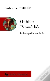 Oublier Prométhée : La Lente Préhistoire Du Feu