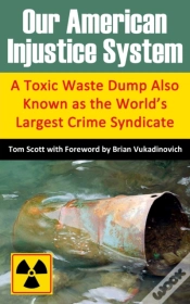 Capa do artigo Our American Injustice System