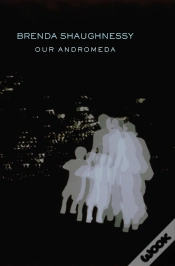 Capa do artigo Our Andromeda