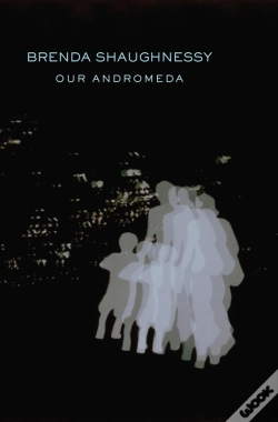 Capa do artigo Our Andromeda