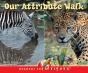 Our Attribute Walk - Preview