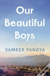 Capa do artigo Our Beautiful Boys