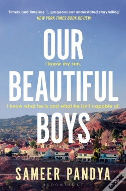 Capa do artigo Our Beautiful Boys