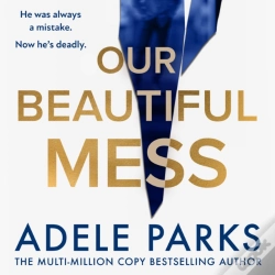 Capa do artigo Our Beautiful Mess
