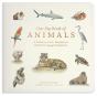 Our Big Book Of Animals - Preview