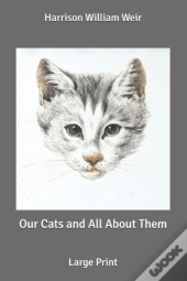 Our Cats And All About Them