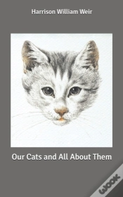 Capa do artigo Our Cats And All About Them