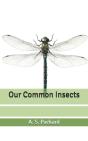 Our Common Insects - Preview