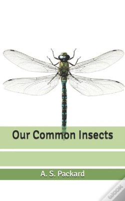 Capa do artigo Our Common Insects