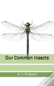 Capa do artigo Our Common Insects