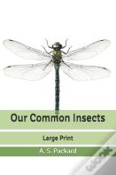 Our Common Insects