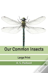 Our Common Insects