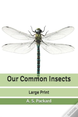 Capa do artigo Our Common Insects