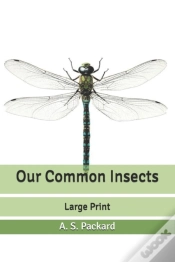 Capa do artigo Our Common Insects