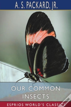 Capa do artigo Our Common Insects (Esprios Classics)