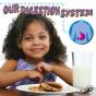 Our Digestion System - Preview
