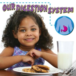 Capa do artigo Our Digestion System