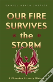 Capa do artigo Our Fire Survives The Storm
