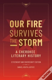 Capa do artigo Our Fire Survives The Storm