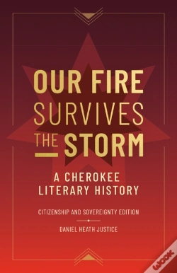 Capa do artigo Our Fire Survives The Storm